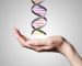 Hvað er epigenetics?